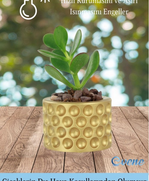 Mini Çiçek Saksı Küçük Sukulent Altın Kaktüs Saksısı Puantiyeli Model
